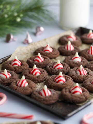 Chocolate-Peppermint-Blossom-